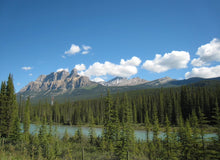 画像をギャラリービューアに読み込む, ハンドウォーマー 【森 赤×黄色系】 No.1003-4