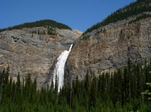 画像をギャラリービューアに読み込む, ハンドウォーマー 【森 赤×黄色系】 No.1003-4