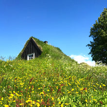 画像をギャラリービューアに読み込む, 3色ジャガードハンドウォーマー ロピ柄 品番:1004-1 緑杢