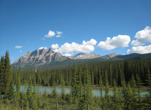 画像をギャラリービューアに読み込む, ハンドウォーマー 【森 アイボリー×ピンク系】 No.1003-4