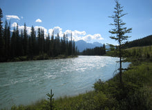 画像をギャラリービューアに読み込む, ハンドウォーマー 【森 アイボリー×イエロー】 No.1003-4