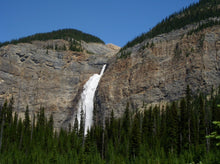 画像をギャラリービューアに読み込む, ハンドウォーマー 【森 アイボリー×ピンク系】 No.1003-4