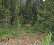 画像をギャラリービューアに読み込む, ハンドウォーマー 【森 アイボリー×ピンク系】 No.1003-4