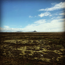 画像をギャラリービューアに読み込む, 3色ジャガードハンドウォーマー ロピ柄 品番:1004-1 緑杢