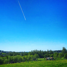 画像をギャラリービューアに読み込む, 3色ジャガードハンドウォーマー ロピ柄 品番:1004-1 グリーン系