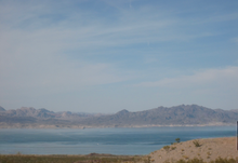 画像をギャラリービューアに読み込む, ハンドウォーマー ネイティブ柄 No.1003-7  深緑杢色