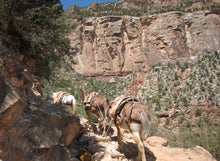 画像をギャラリービューアに読み込む, ハンドウォーマー ネイティブ柄 No.1003-7  深緑杢色